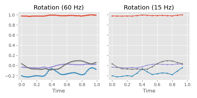 shoulder rotation